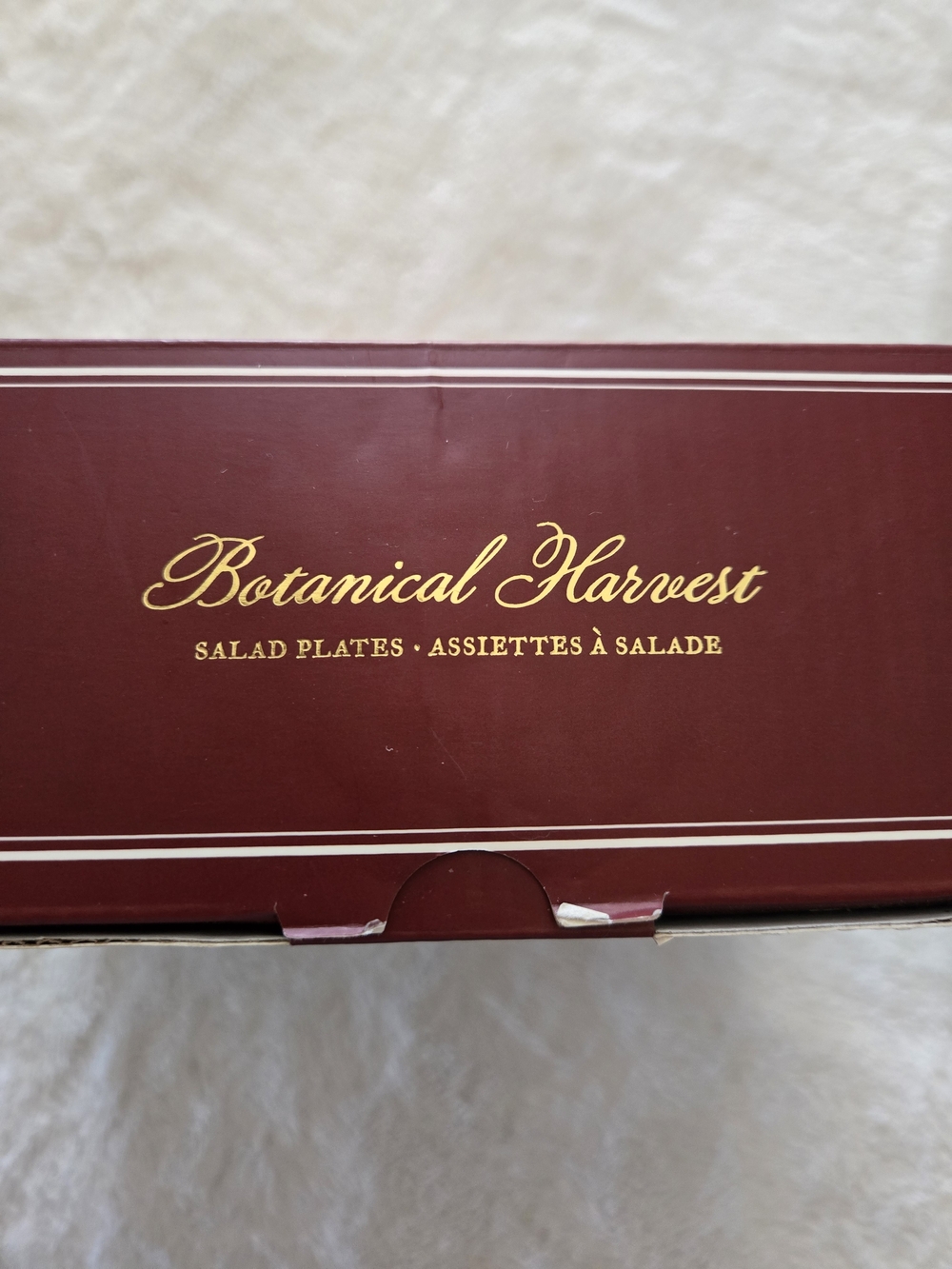 Pottery Barn - Botanical Harvest Salad Plate Set - NEW! - Picture 4 of 6
